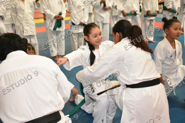 Foto de la galería