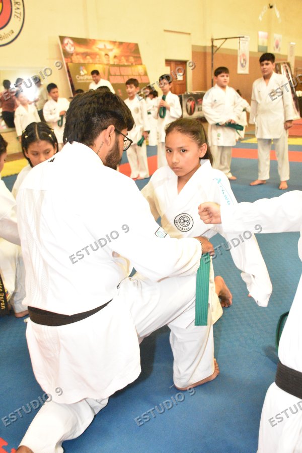 Foto de la galería