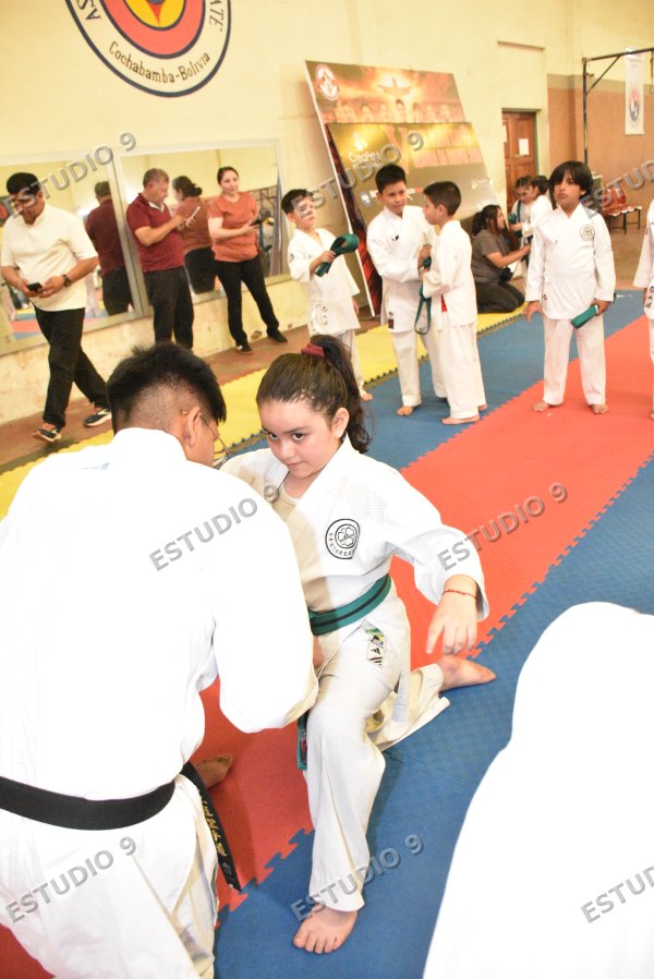 Foto de la galería