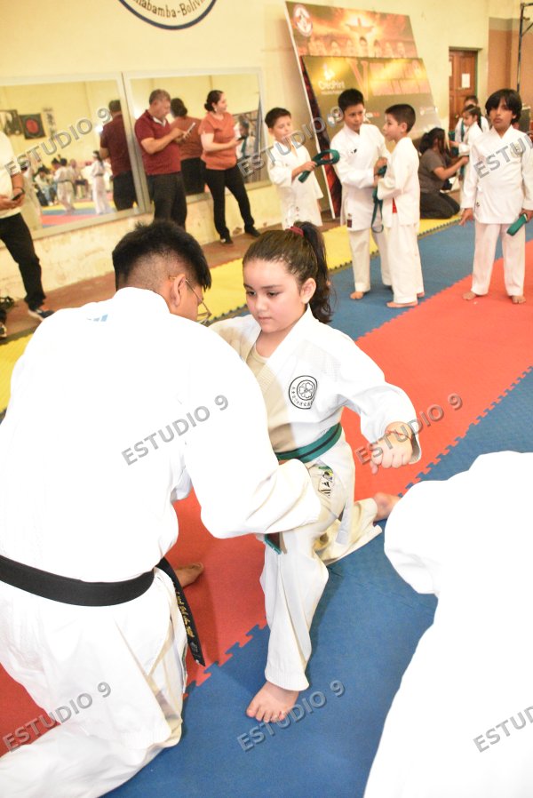 Foto de la galería