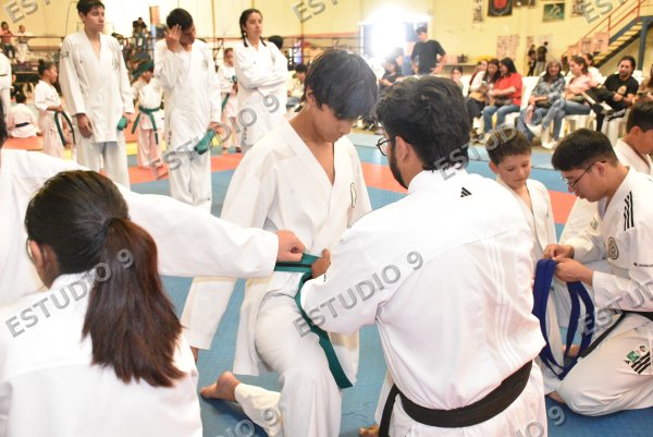 Foto de la galería