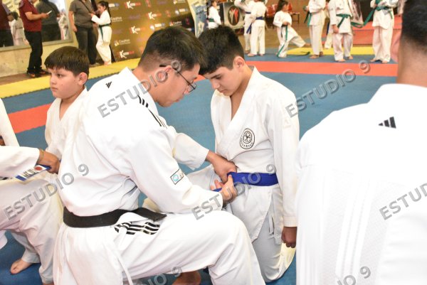 Foto de la galería