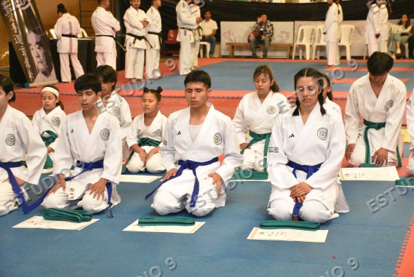 Foto de la galería